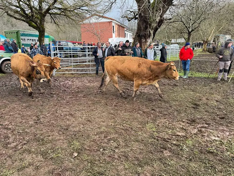 feria-corao-marzo-2024-15