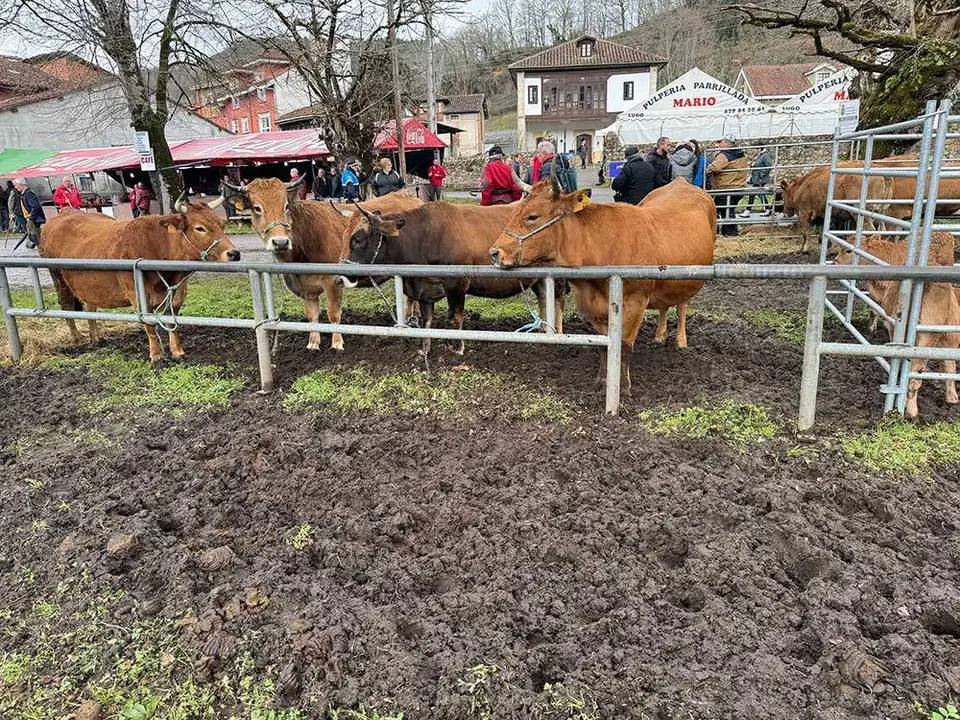 feria-corao-marzo-2024-16