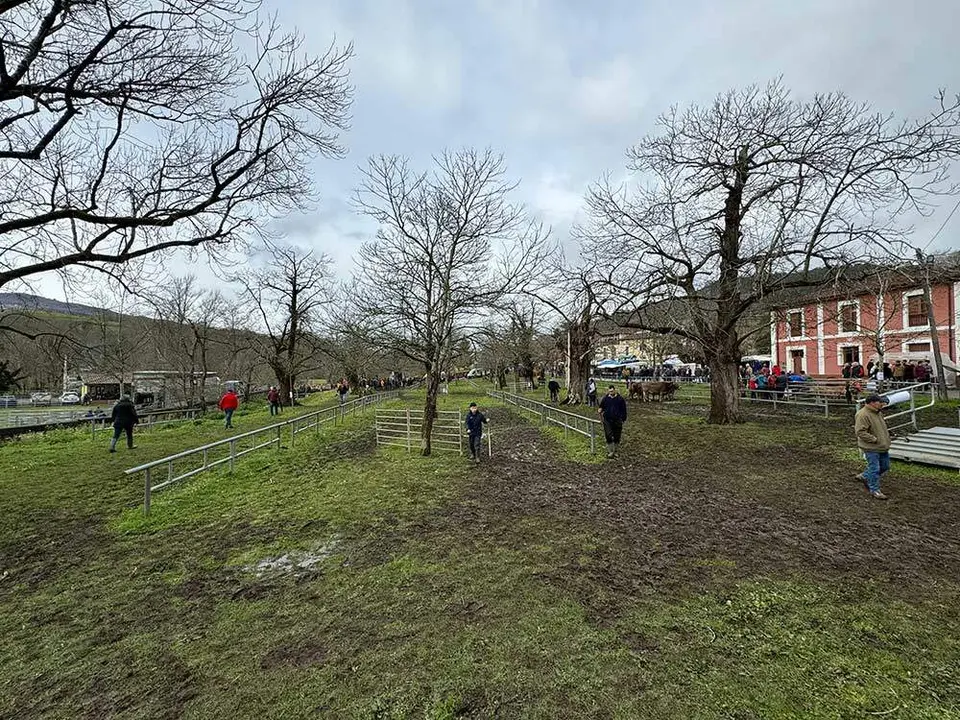 feria-corao-marzo-2024-20