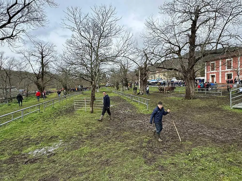 feria-corao-marzo-2024-21