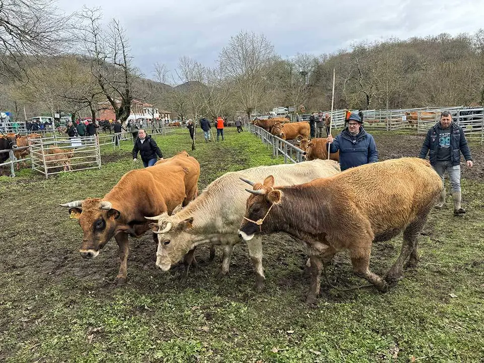 feria-corao-marzo-2024-22