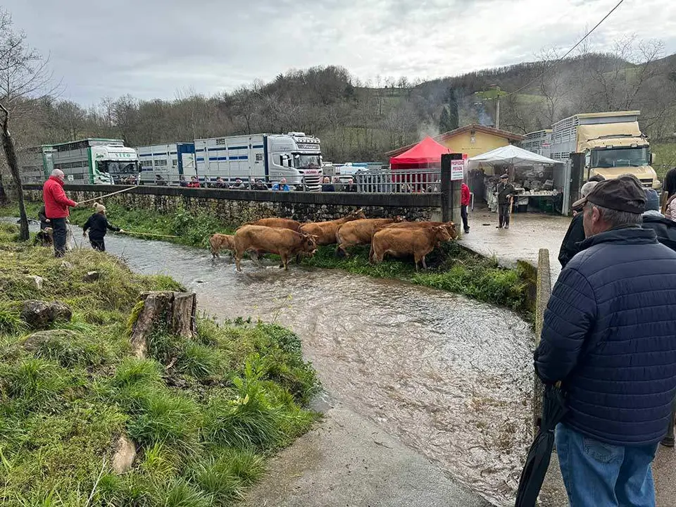 feria-corao-marzo-2024-23