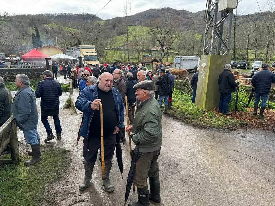 feria-corao-marzo-2024-24