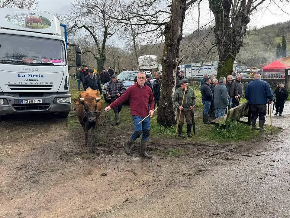 feria-corao-marzo-2024-25