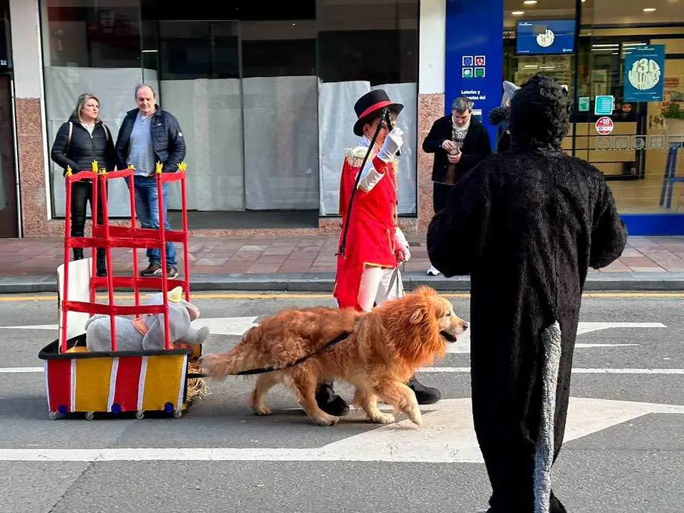 carnaval-cangas-onis-2024-10