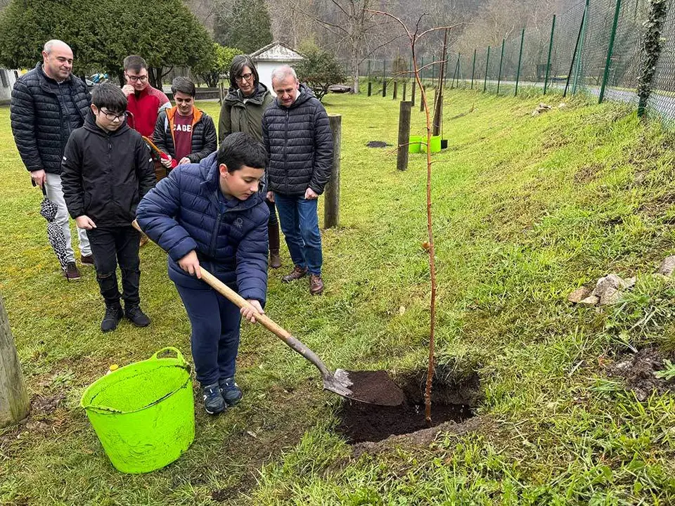 un-arbol-europa-arriondas-04