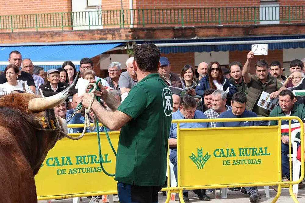 subasta-aseamo-2024-08