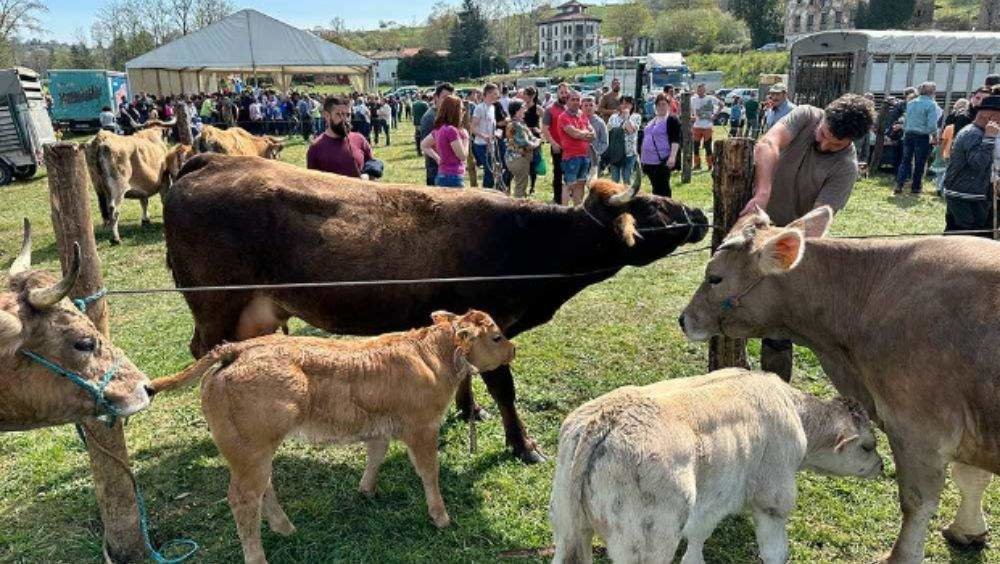 Feria de ganado de Sevares 2023.