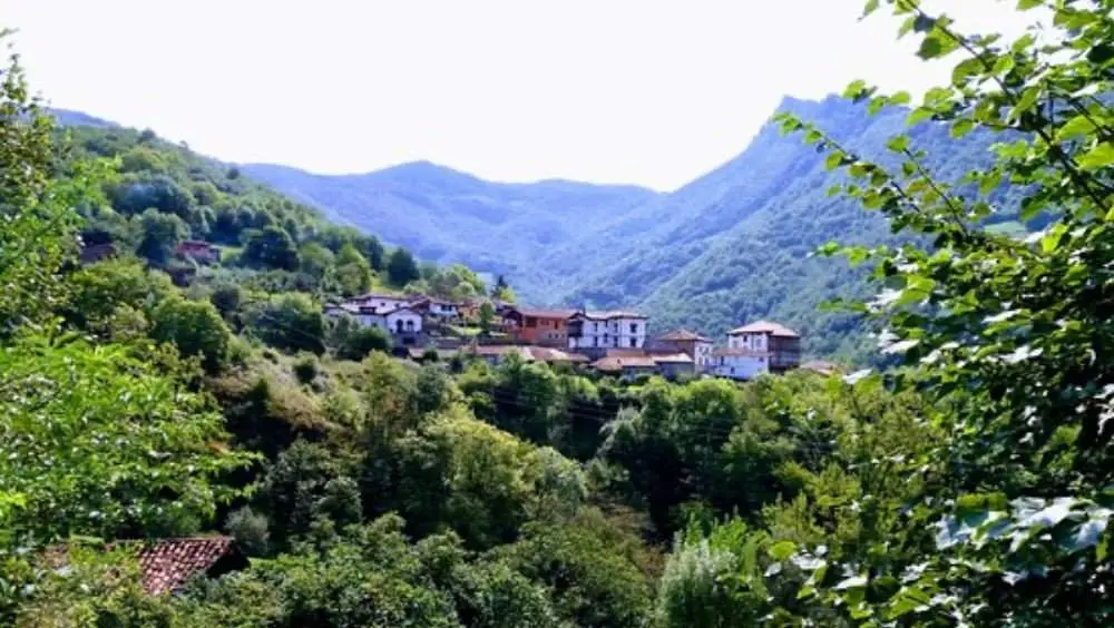 transporte-demanda-ponga