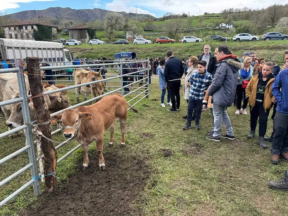 feria-sevares-semana-santa-2024-09