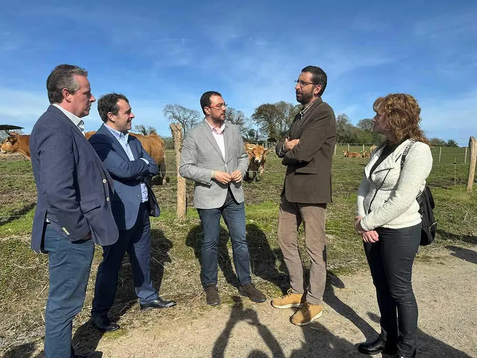 alimerka-ternera-villaviciosa-08