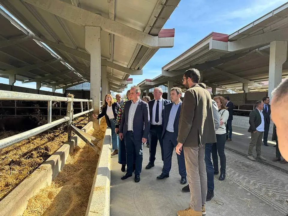 alimerka-ternera-villaviciosa-13