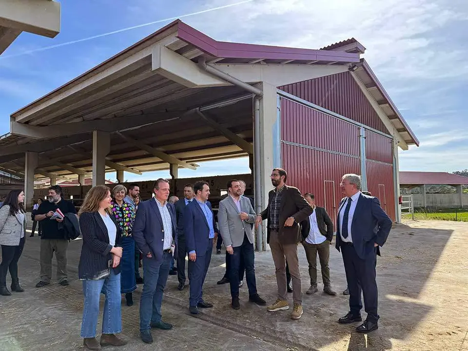 alimerka-ternera-villaviciosa-14