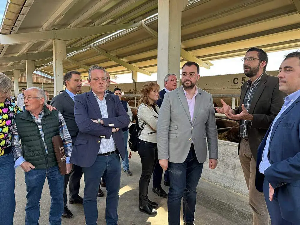 alimerka-ternera-villaviciosa-15