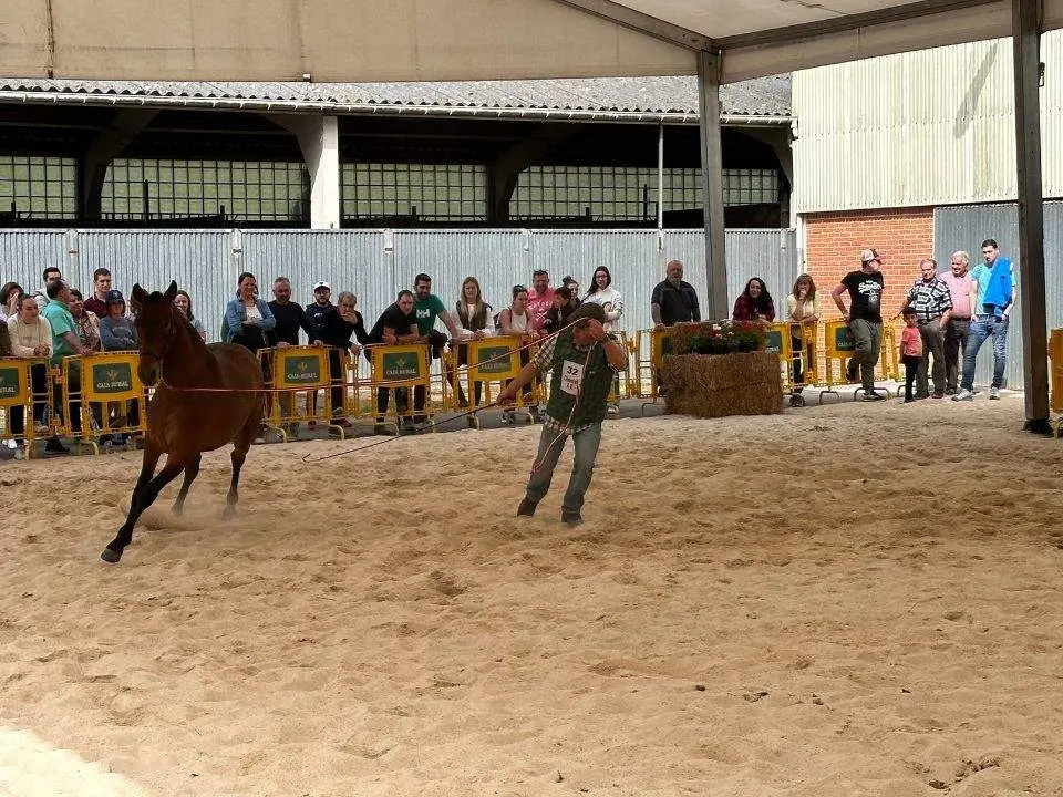 concurso-exposicion-caballo-cangas-onis-1