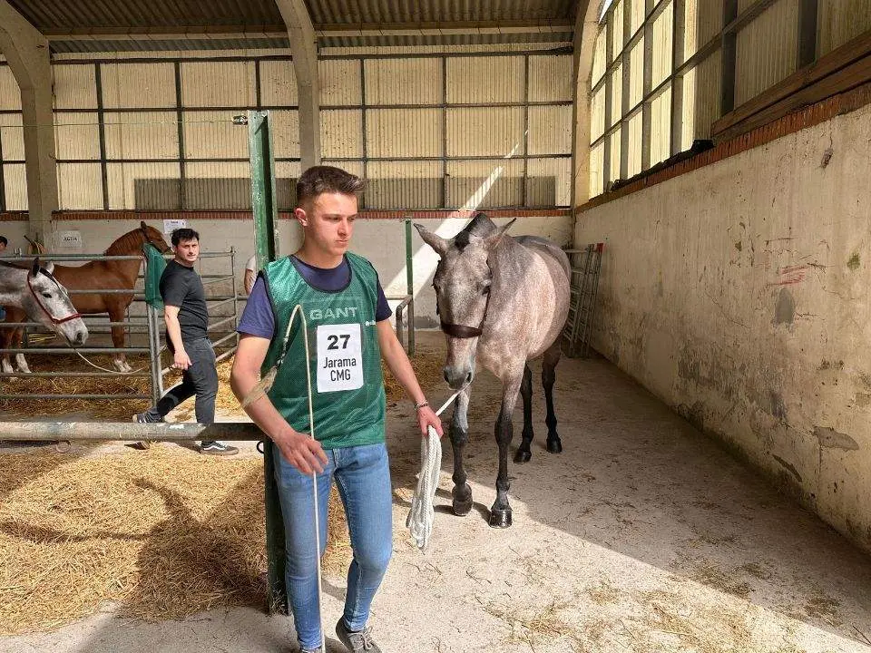 concurso-exposicion-caballo-cangas-onis-7