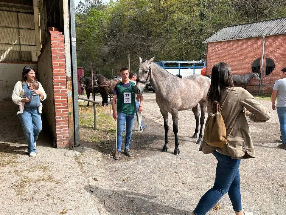 concurso-exposicion-caballo-cangas-onis-9