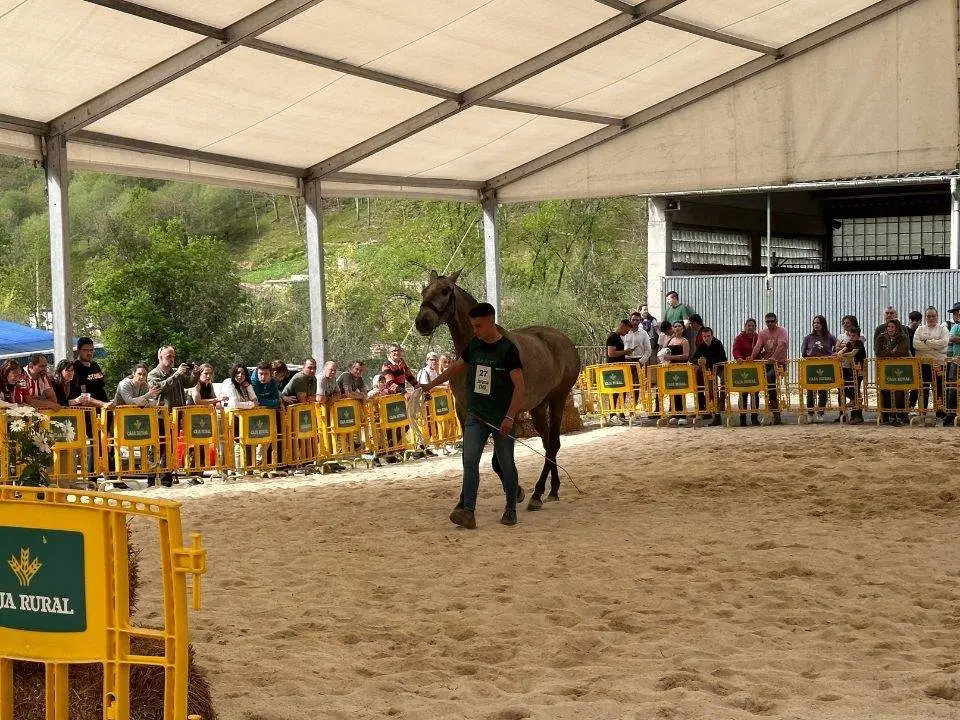 concurso-exposicion-caballo-cangas-onis-19