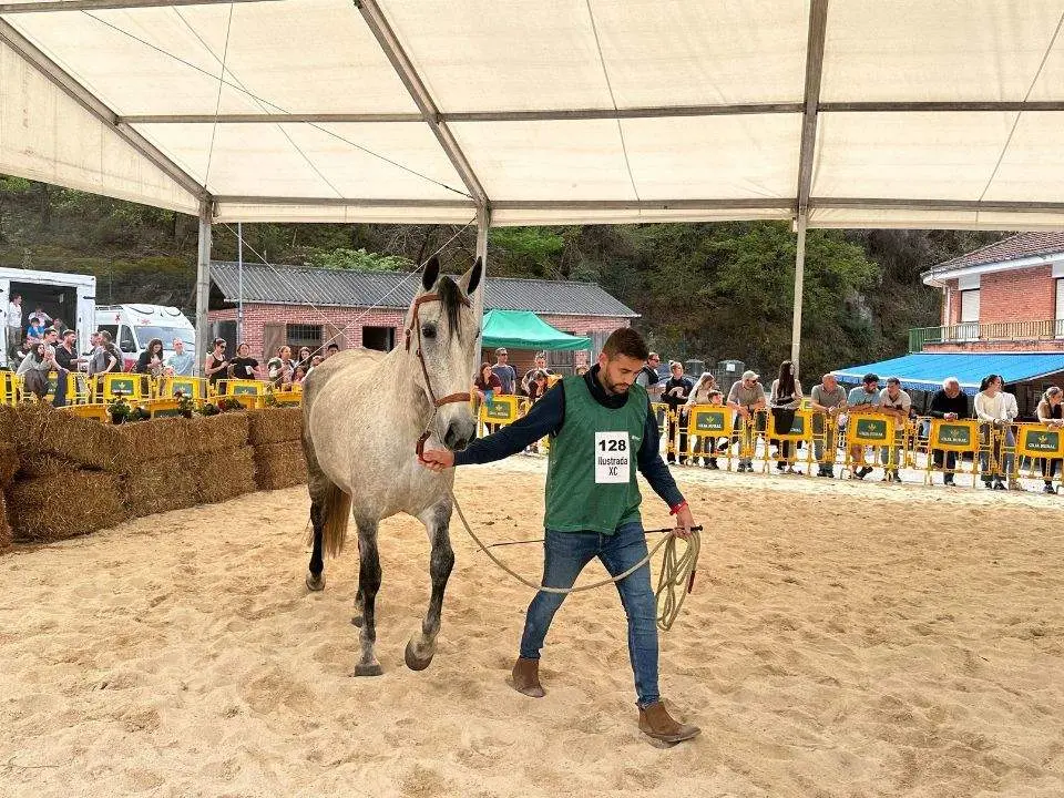 concurso-exposicion-caballo-cangas-onis-27