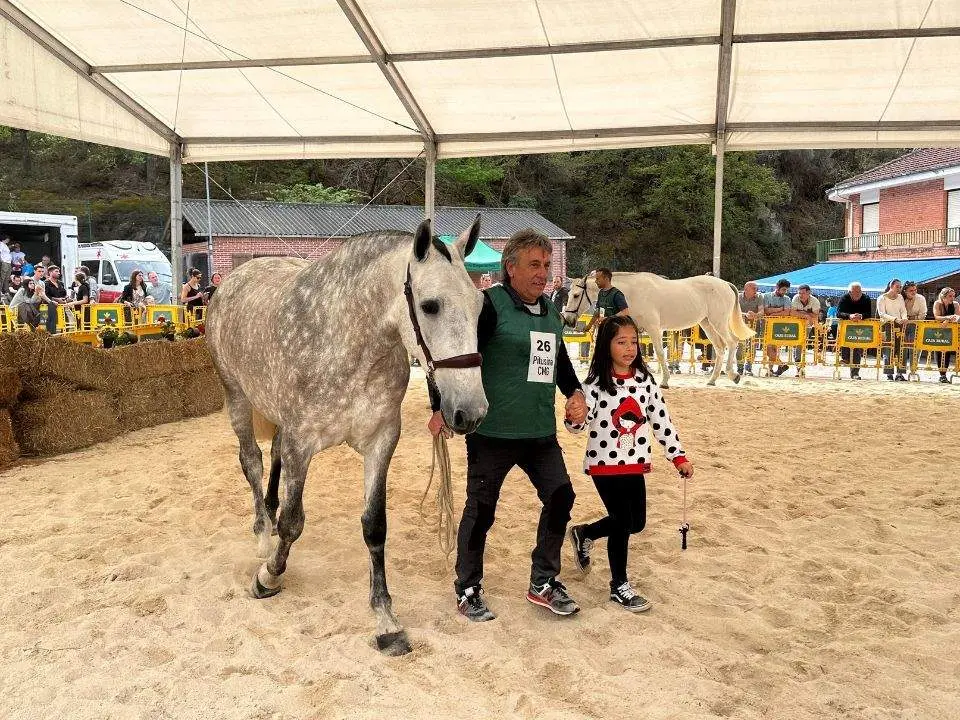 concurso-exposicion-caballo-cangas-onis-29