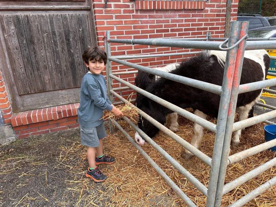 concurso-exposicion-caballo-cangas-onis-36