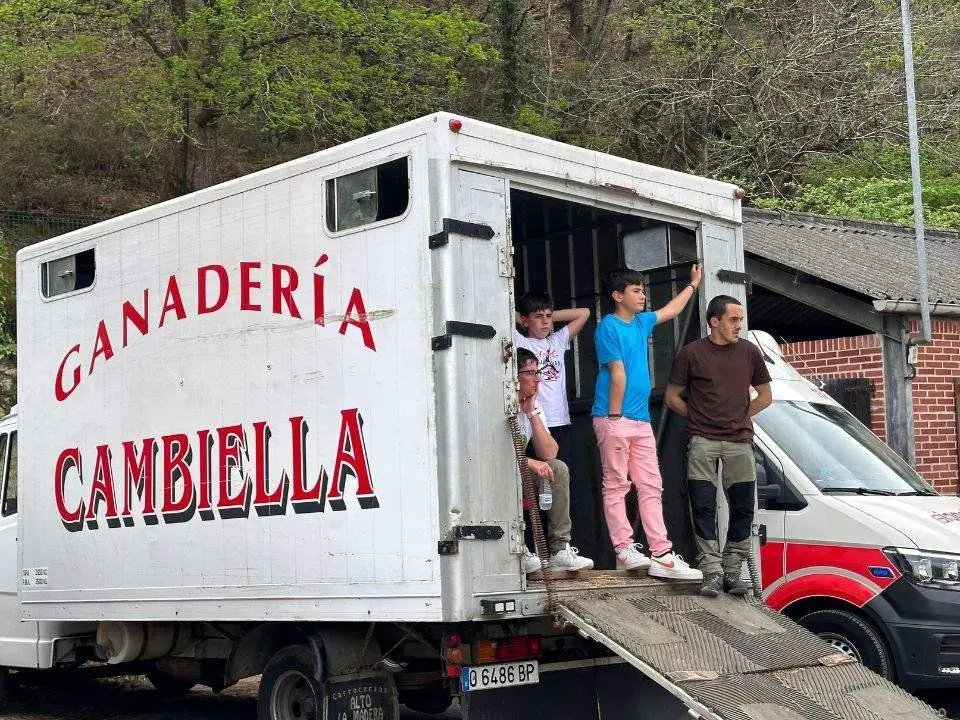 concurso-exposicion-caballo-cangas-onis-38