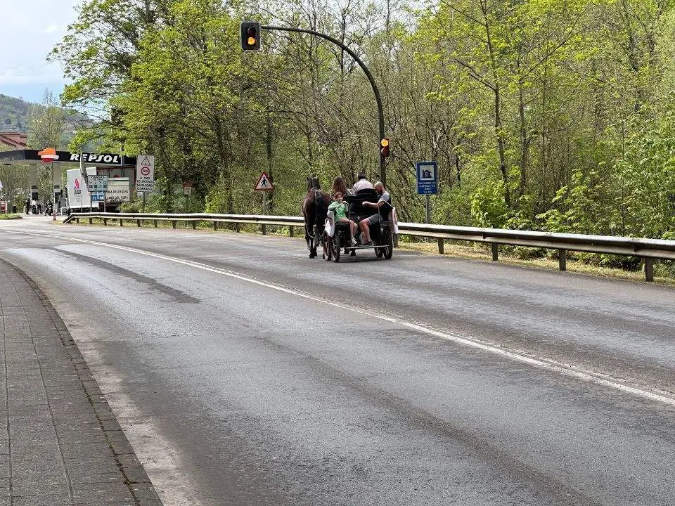 concurso-exposicion-caballo-cangas-onis-40