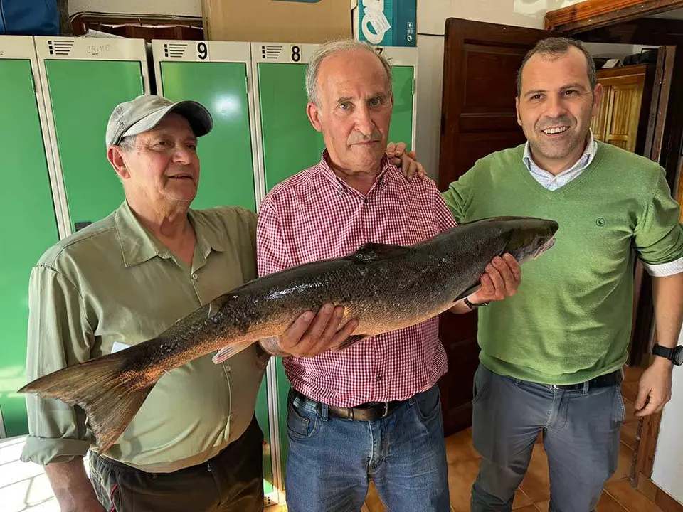 campanu-sella-2024-05