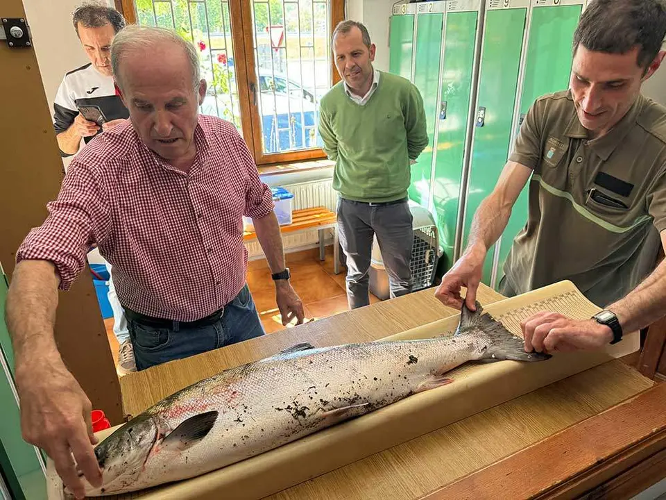 campanu-sella-2024-09