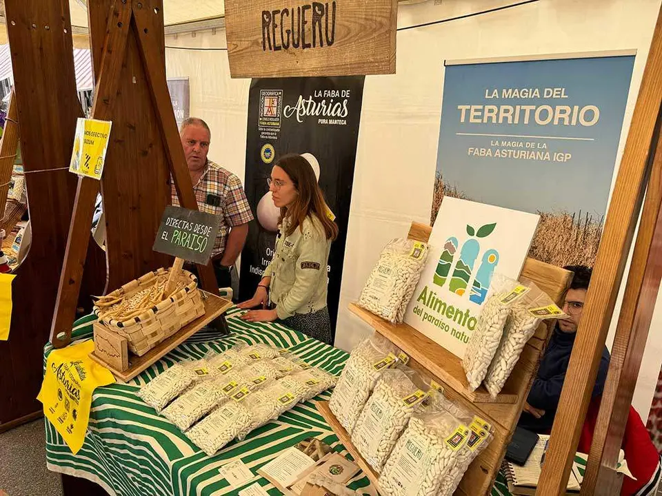 fabes-villaviciosa-2024-04