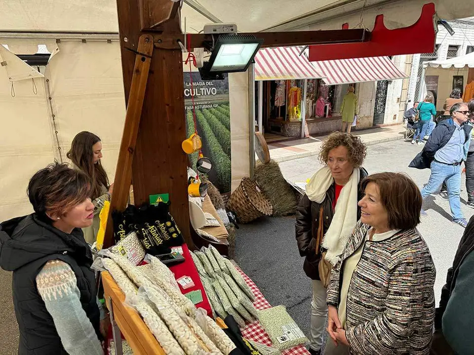 fabes-villaviciosa-2024-07