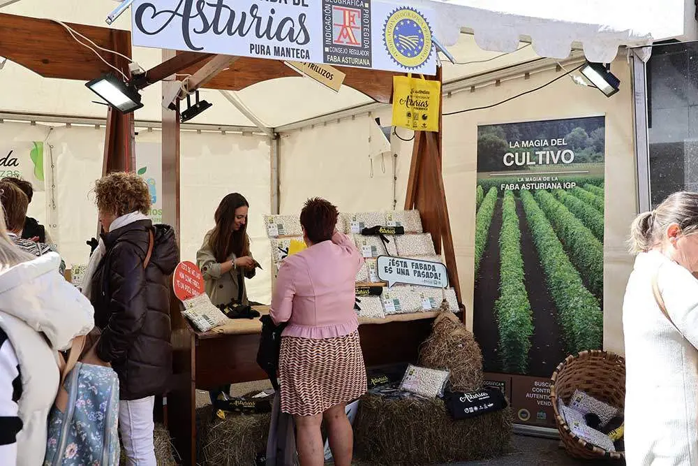 fabes-villaviciosa-2024-20