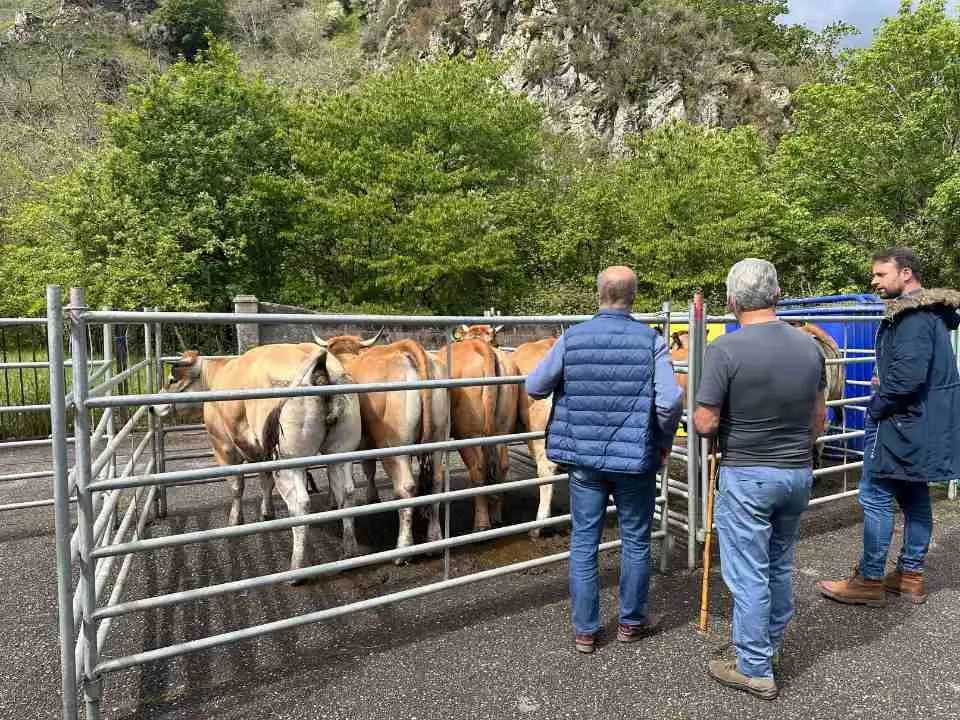 feria-santillan-primavera-2