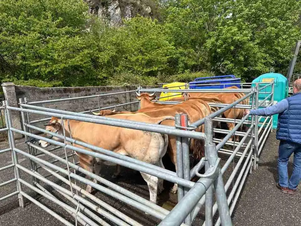 feria-santillan-primavera-3