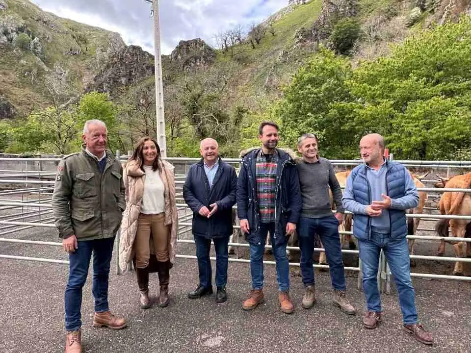 feria-santillan-primavera-4