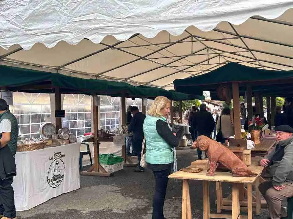 feria-santillan-primavera-9