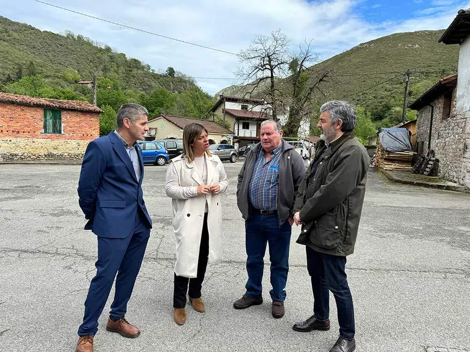 consejo-gobierno-amieva-12