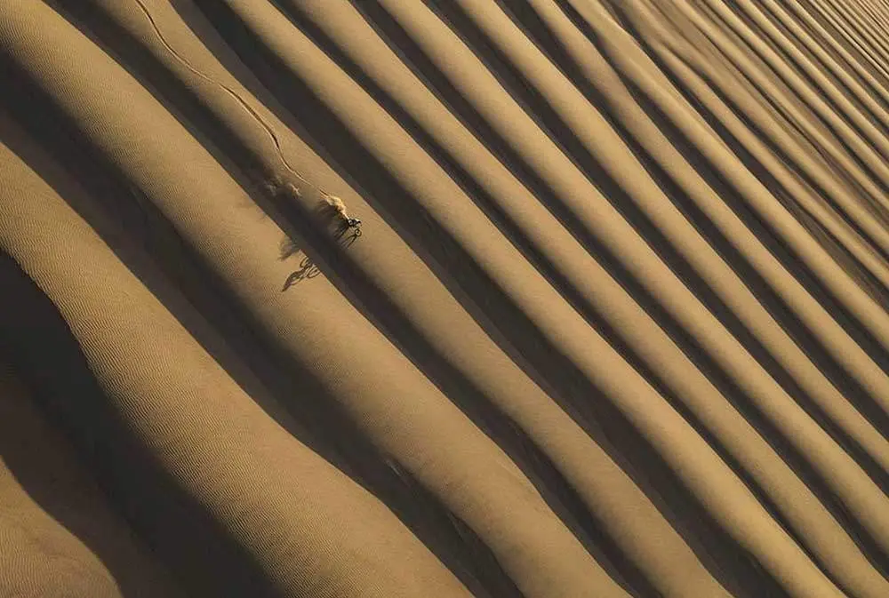 memorial-maria-luisa-2024