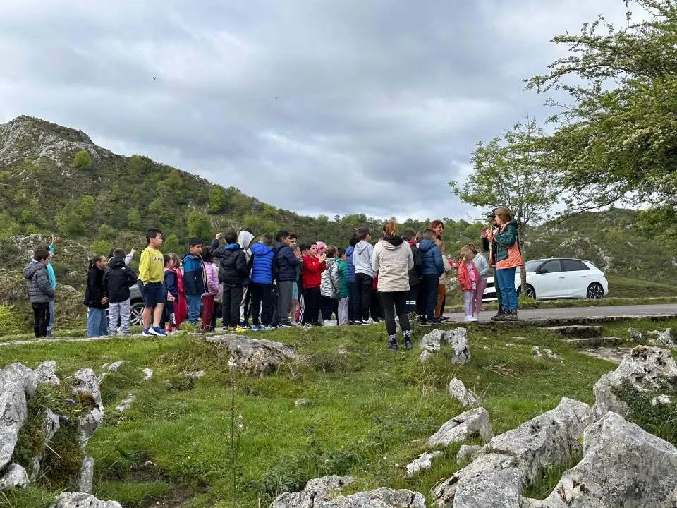 colegio-pena-tu-quebrantahuesos