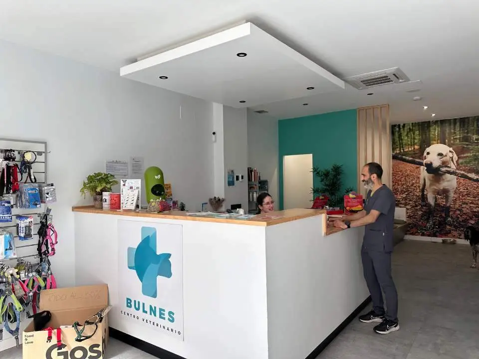 clinica-veterinaria-bulnes-arriondas