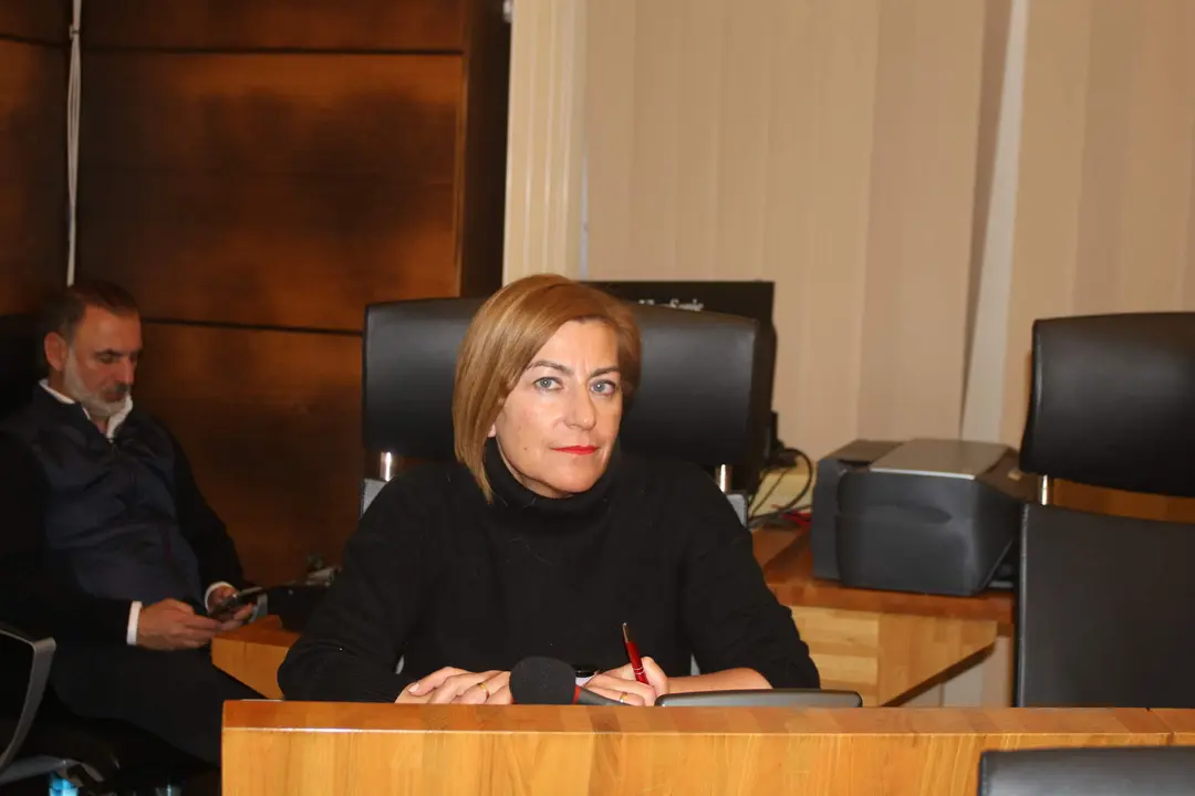 La concejal de IU SIero, Teresa &Aacute;lvarez