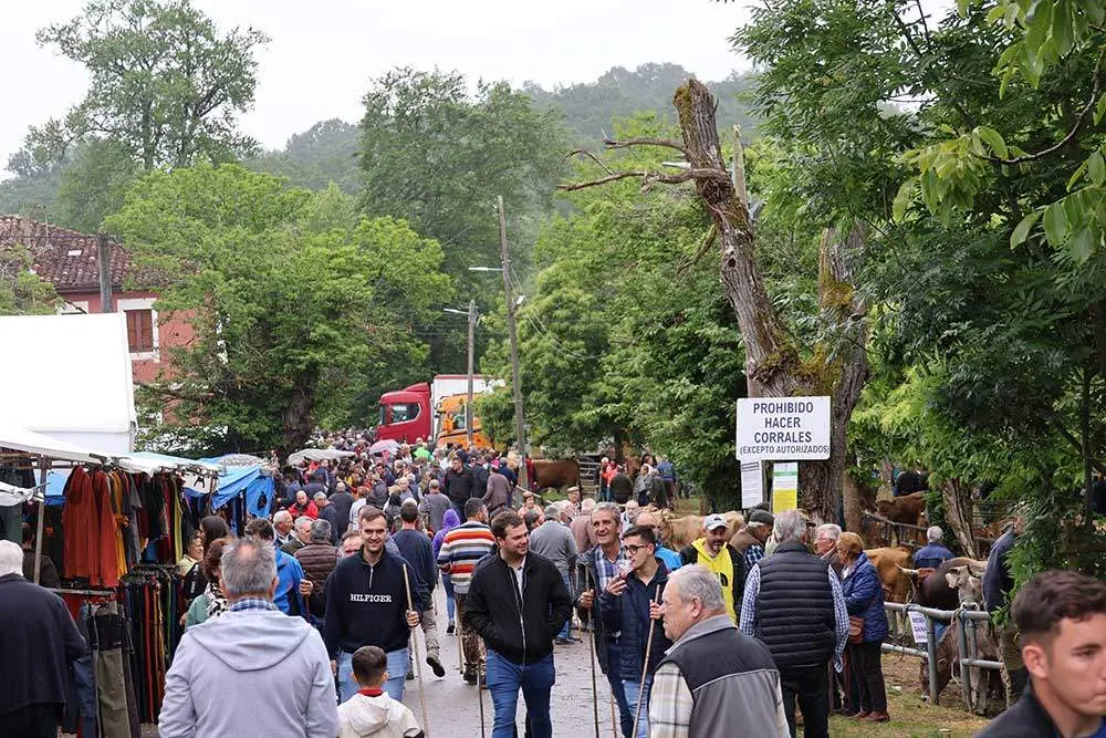 feriona-corao-2024-02