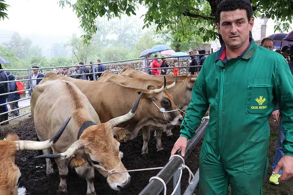 feriona-corao-2024-04