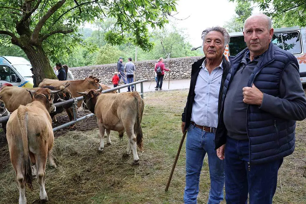 feriona-corao-2024-05