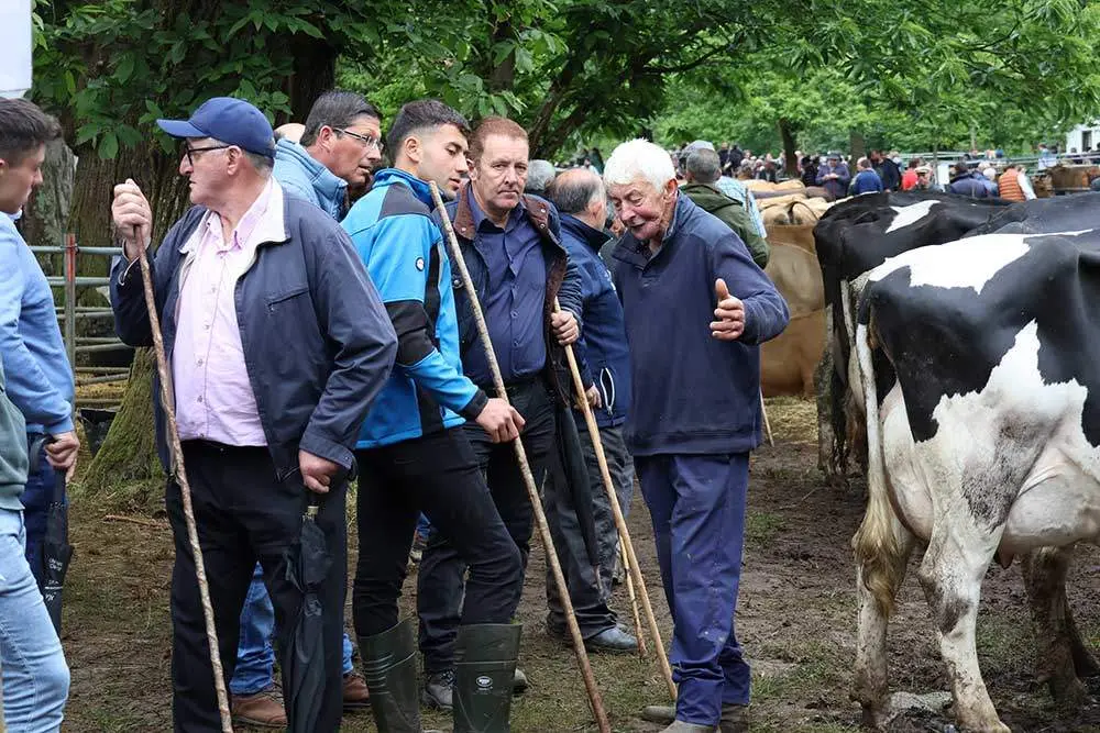 feriona-corao-2024-06