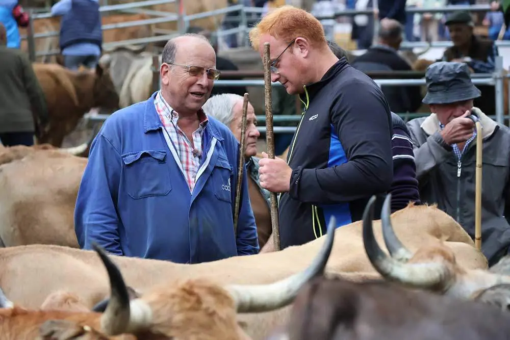 feriona-corao-2024-09