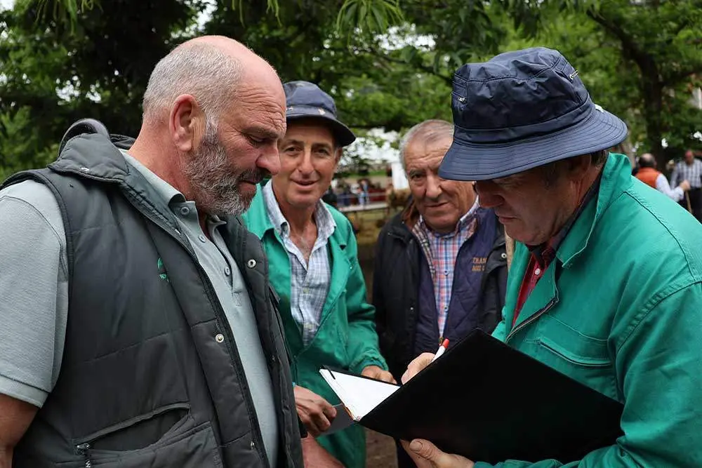 feriona-corao-2024-12