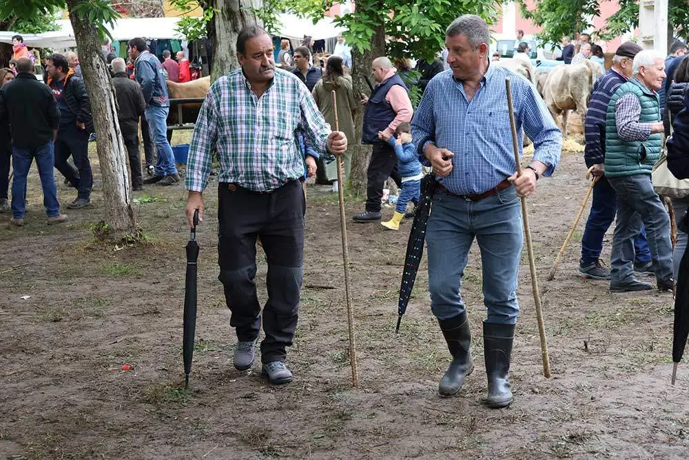 feriona-corao-2024-13