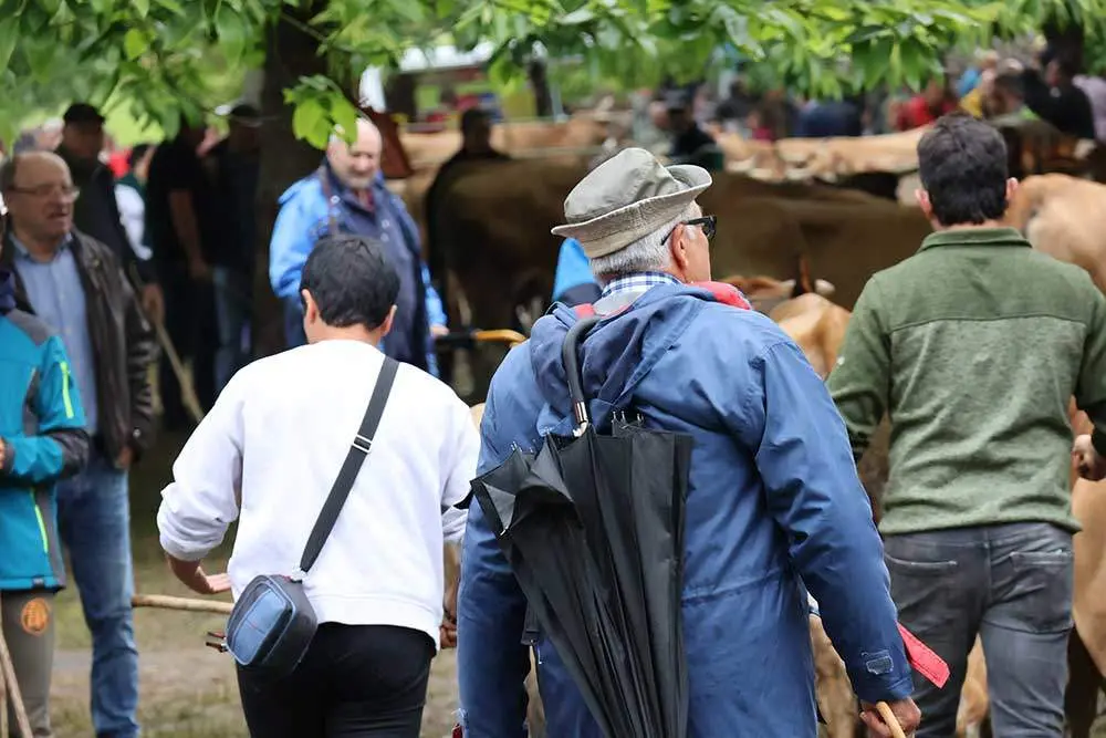 feriona-corao-2024-14