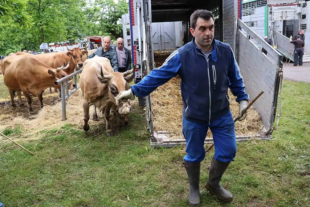 feriona-corao-2024-18